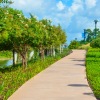 a sidewalk near a body of water with lush landscaping