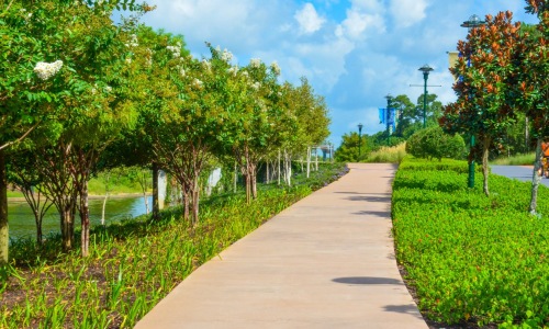a sidewalk near a body of water with lush landscaping
