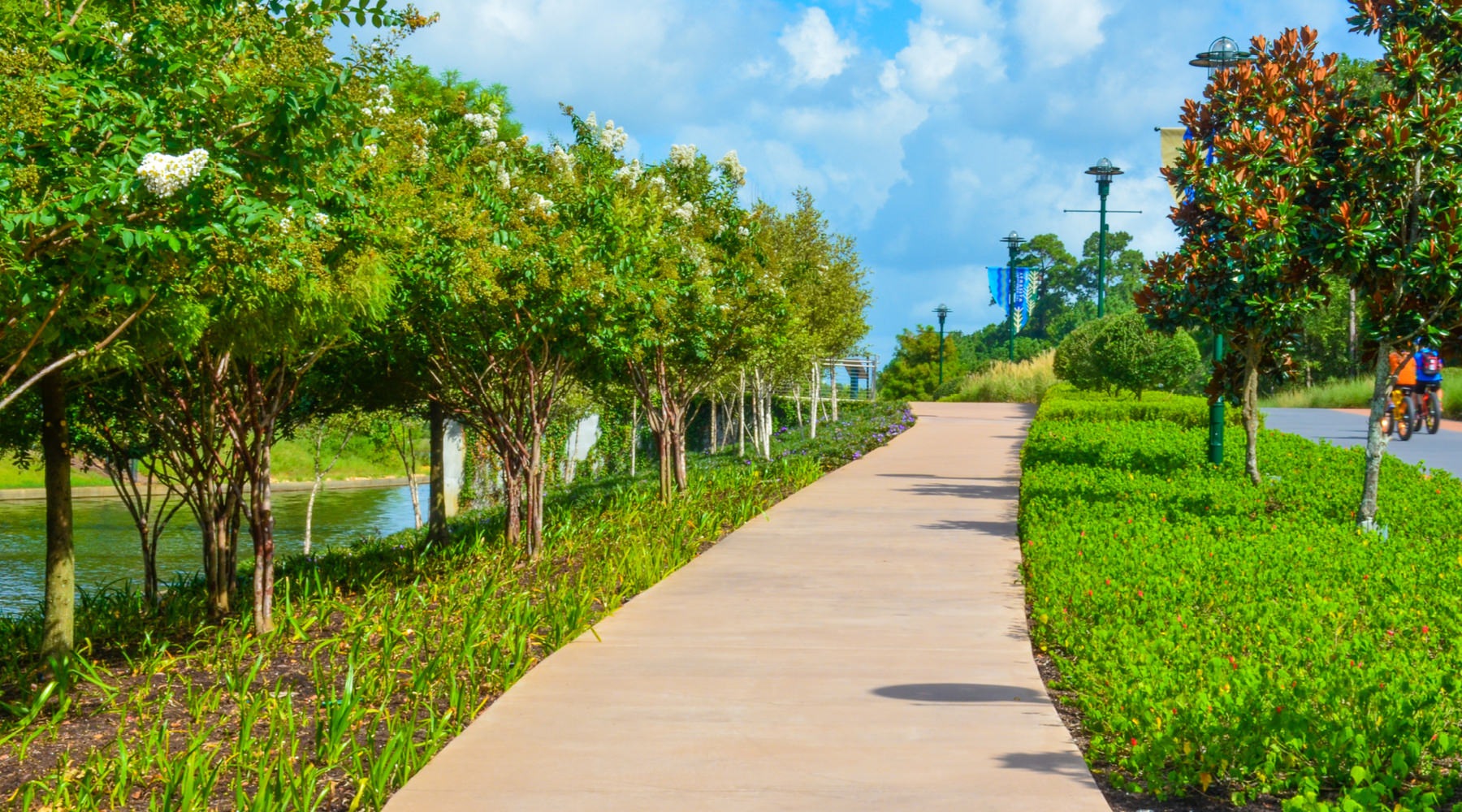 a sidewalk near a body of water with lush landscaping