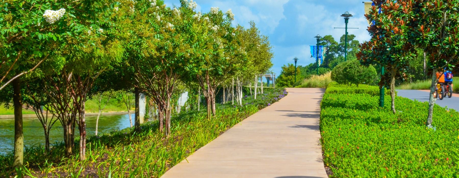 a sidewalk near a body of water with lush landscaping