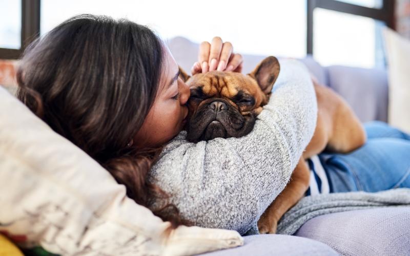 a person petting their dog