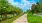 a path with trees and grass on the side