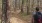 a person walking in a forest